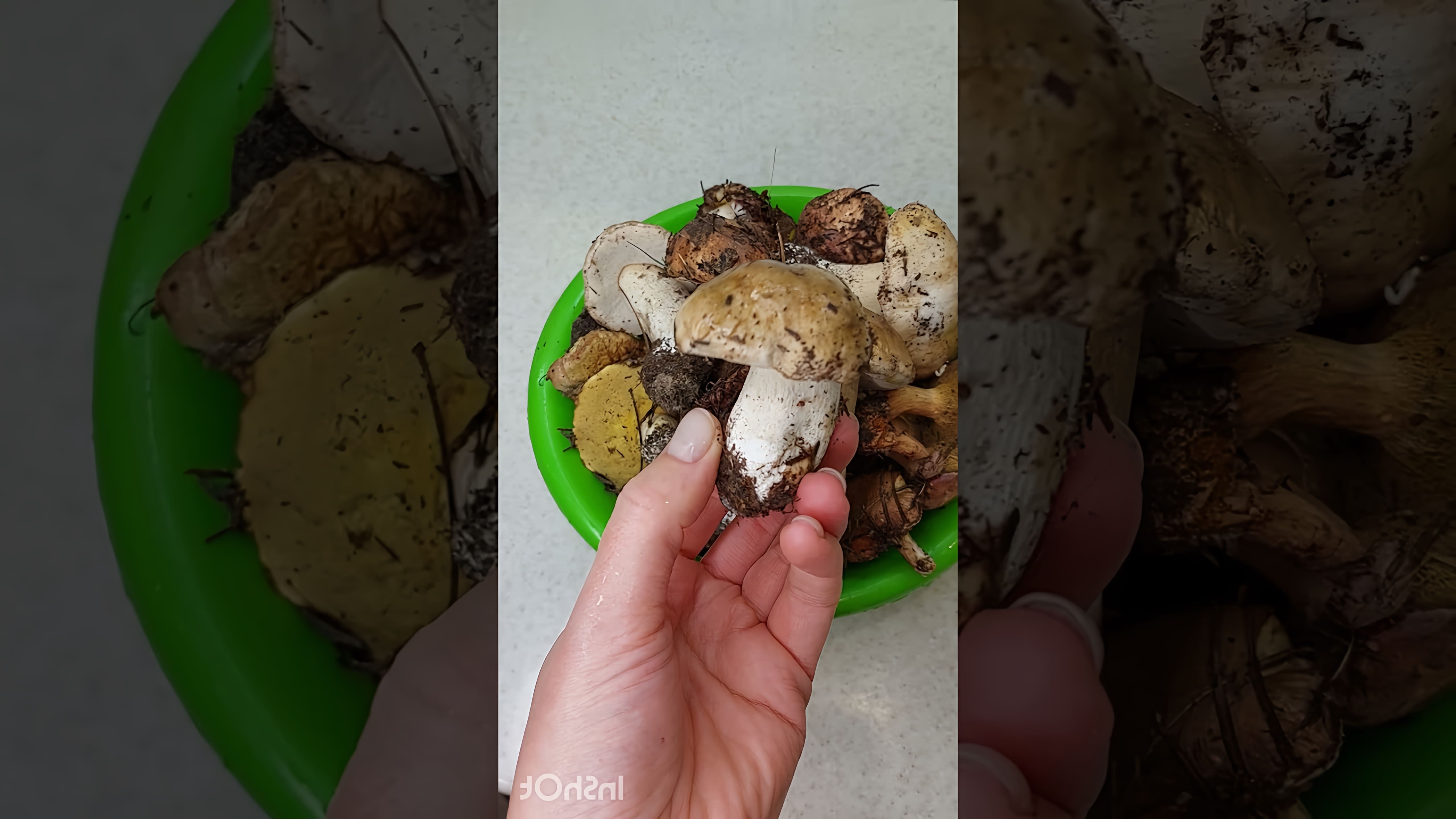 В этом видео показано, как приготовить жареную картошку с грибами