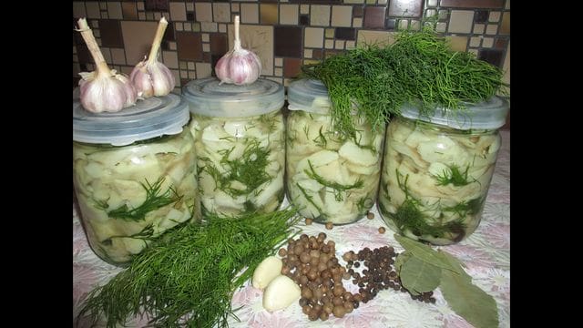 Рецепт засолки укропа на зиму. Рецепт засолки укропа на зиму