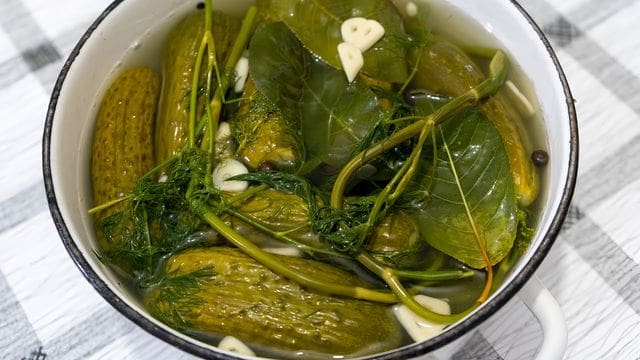 Свежепросольные огурцы быстрого приготовления в кастрюле. Свежепросольные огурцы быстрого приготовления в кастрюле