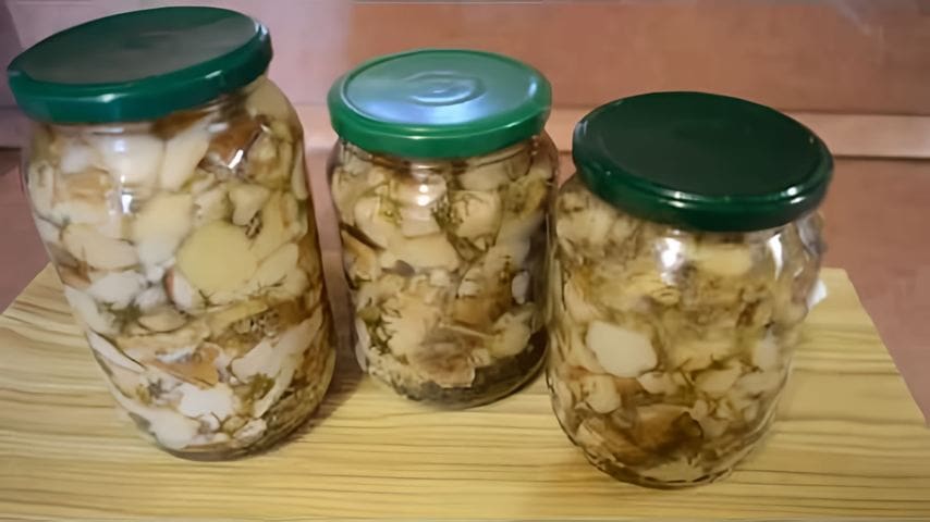 Беляки грибы на зиму рецепты. Маринованные грибы на зиму. Испортившиеся соленые грибы. Консервированные грибы в банке. Белянки соленые.