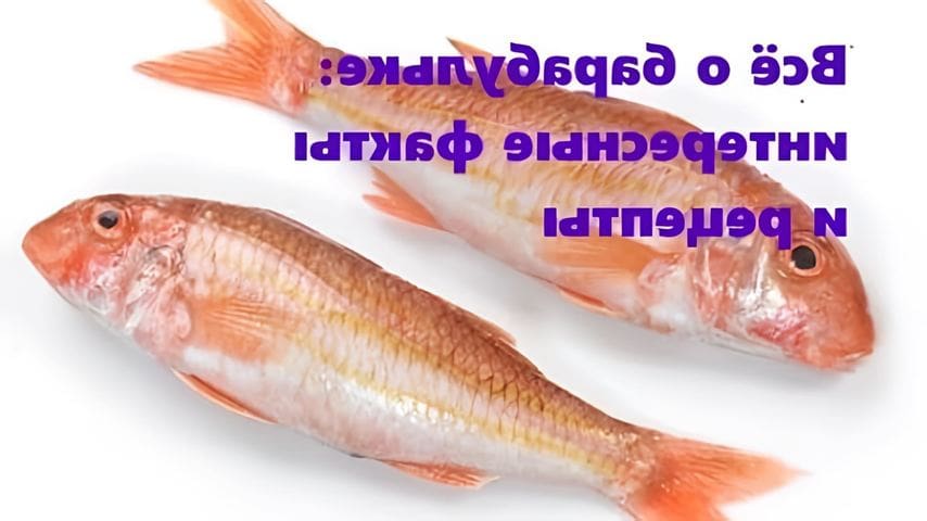 Барабулька vs 42 братухи самый кринжовый конфликт. Барабуля на шкаре