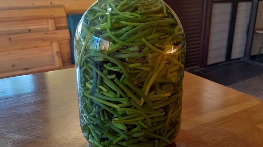 Стрелки чеснока. Квашеные стрелки чеснока. Квасим чесночные стрелки. Стрелки чеснока нарезанные. Квашеные чесночные стрелки.