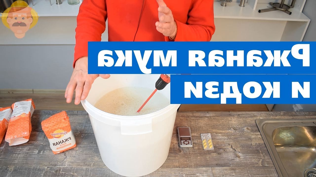 Дрожжи кодзи. Брага на муке и кодзи. Брага пена. Брага на муке и кодзи. Ячневая брага на кодзи.