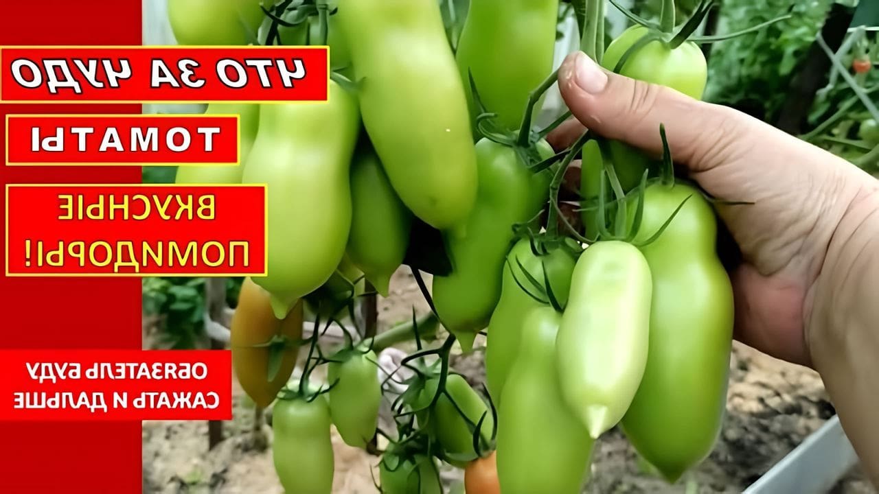 Урожай гибридных культур