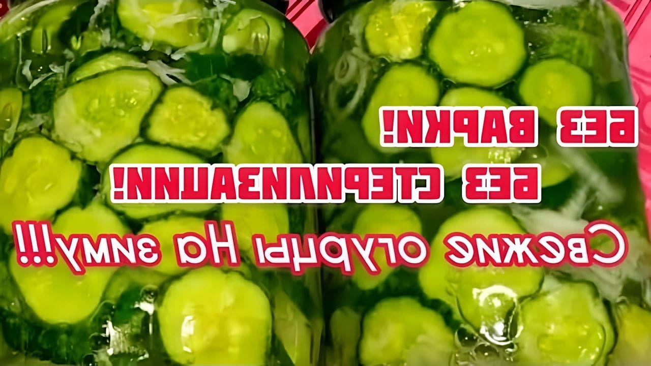 Огурцы как свежие на зиму с чесноком. Огурцы как свежие на зиму с чесноком