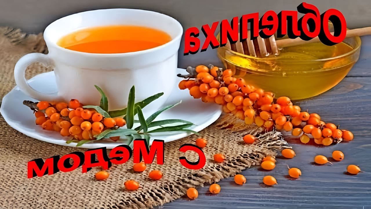 Рецепт витаминного морса из облепихи с медом: пошаговое приготовление